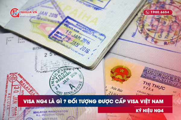 Visa NG4 là gì ? Đối tượng được cấp Visa Việt Nam ký hiệu NG4